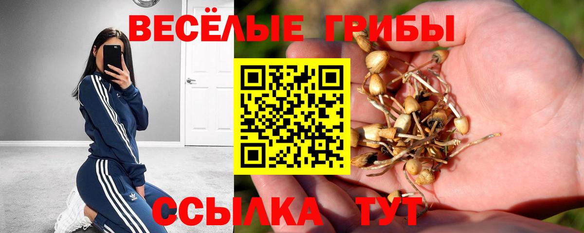 Галлюциногенные грибы мухоморы Обнинск